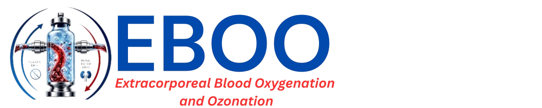 EBOO Logo